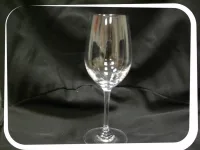 VERRE OENOLOGIE